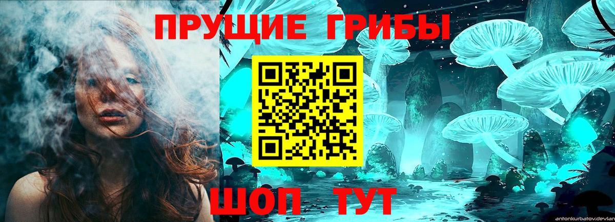 Галлюциногенные грибы GOLDEN TEACHER  Вход с VPN  Псилоцибиновые грибы прущие грибы  наркошоп  Каменск-Уральский 